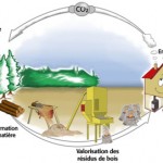 valorisation-residus-bois-ecologie-pellets